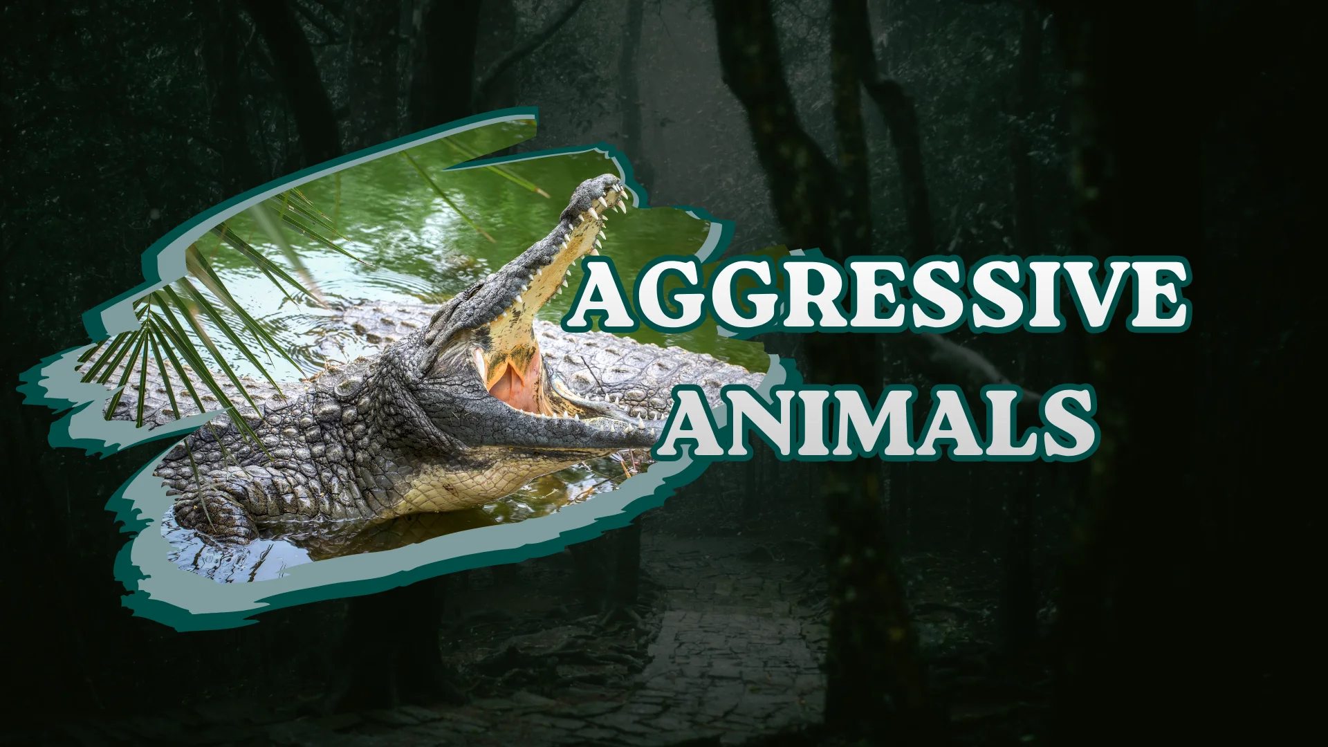 Aggressive Animals