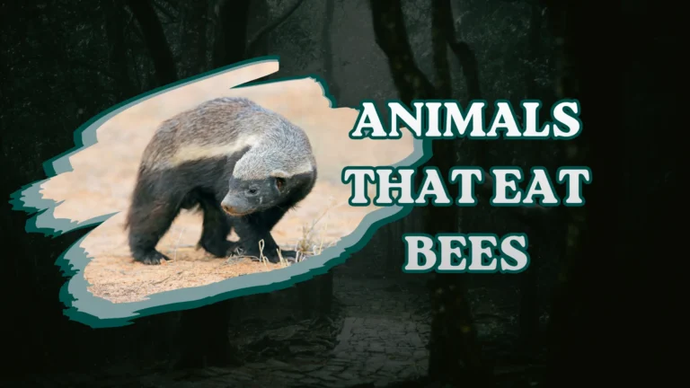 Animals That Eat Bees