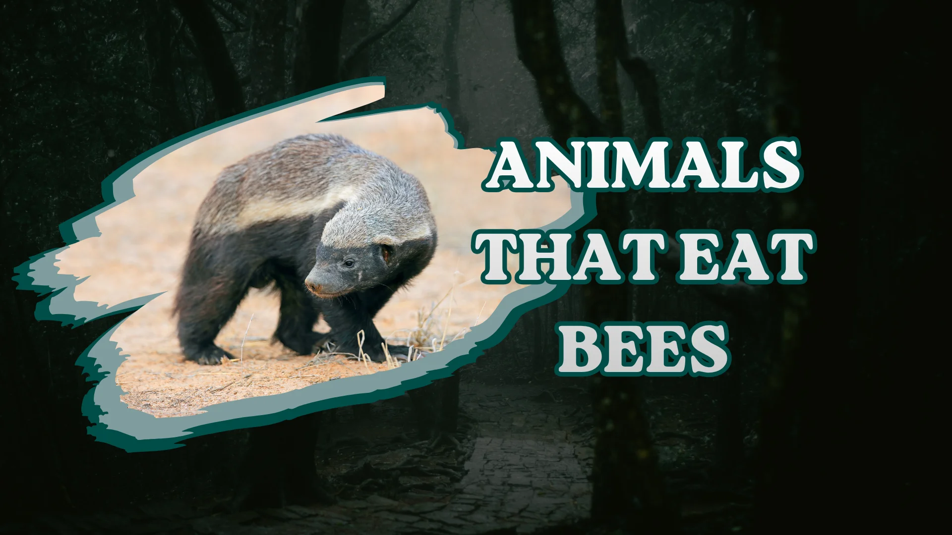 Animals That Eat Bees