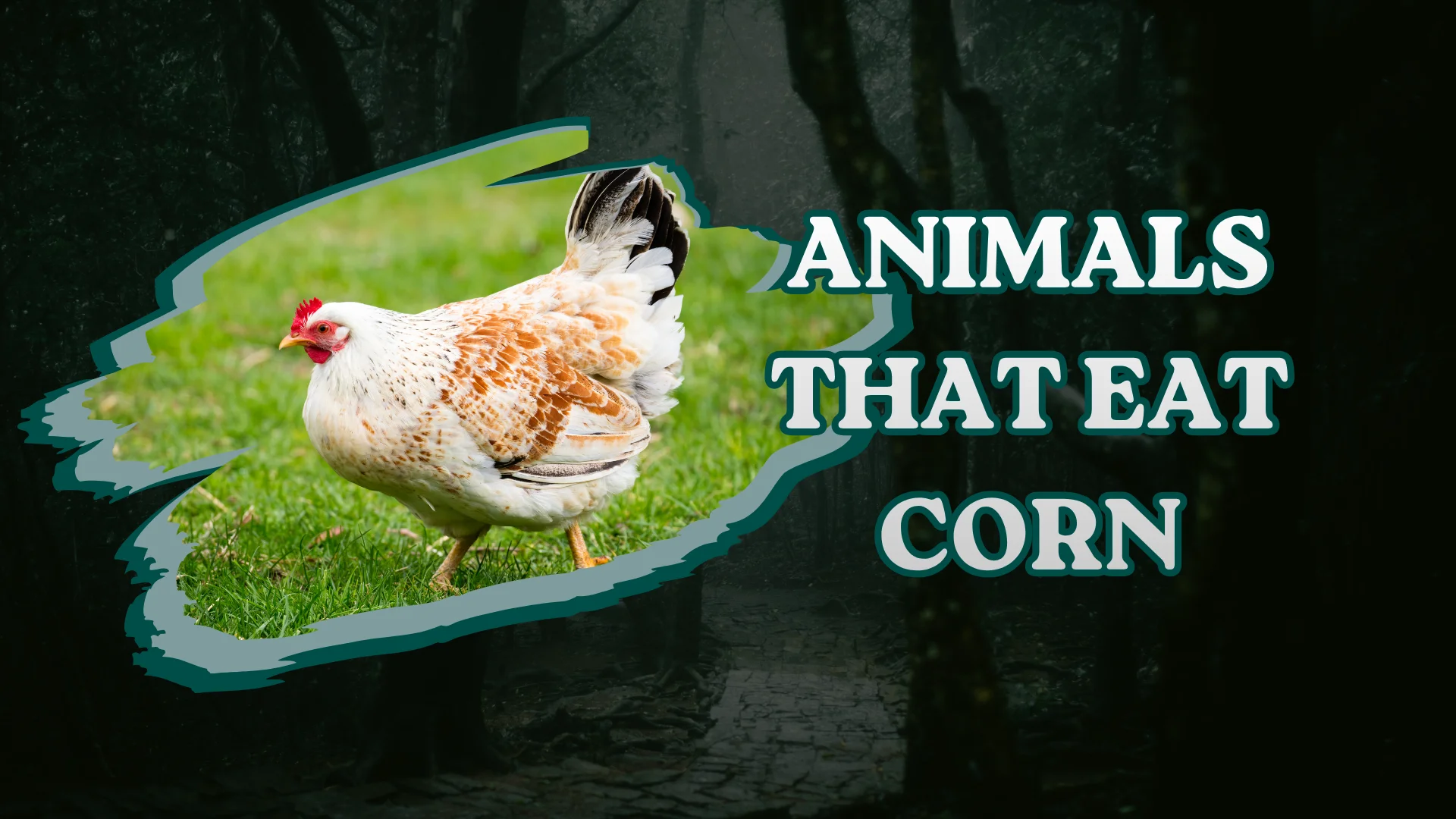 Animals That Eat Corn