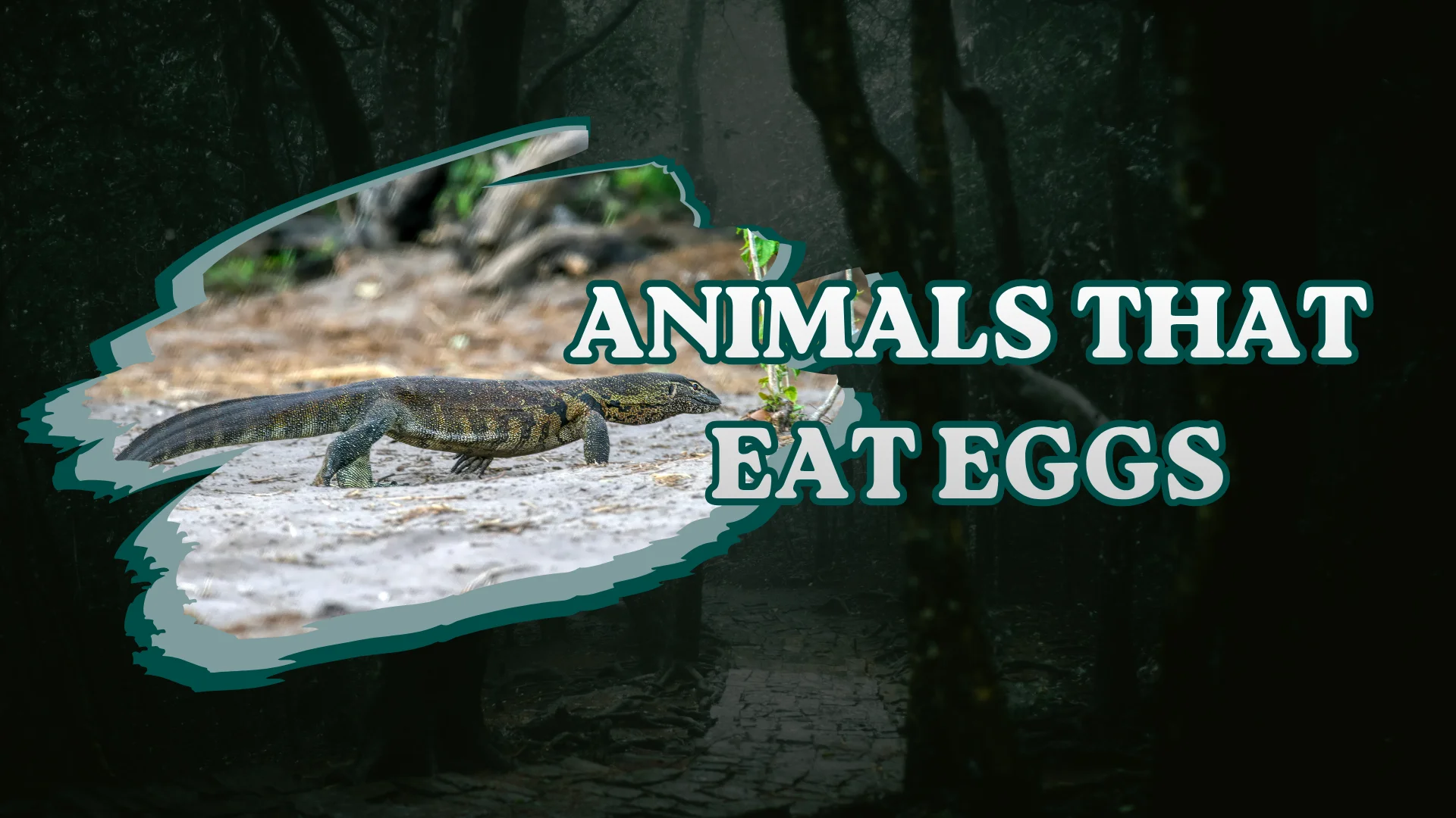 Animals That Eat Eggs