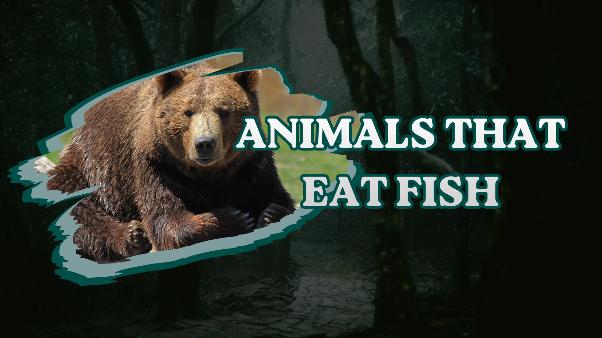 Animals That Eat Fish