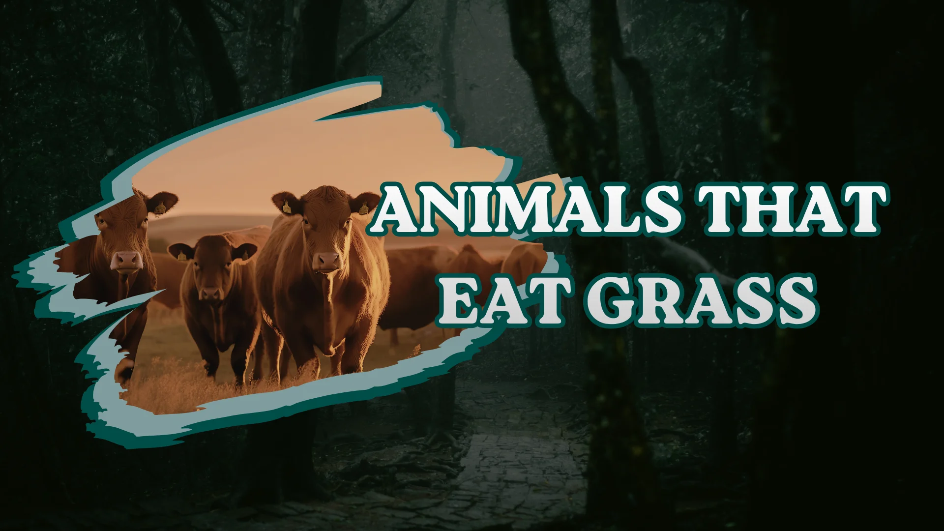 Animals That Eat Grass