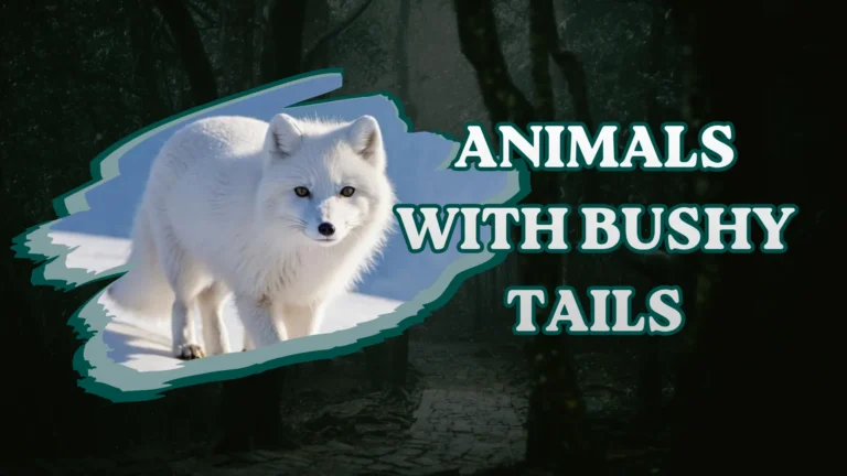 Top 15 Animals With Bushy Tails in The World (With Images)