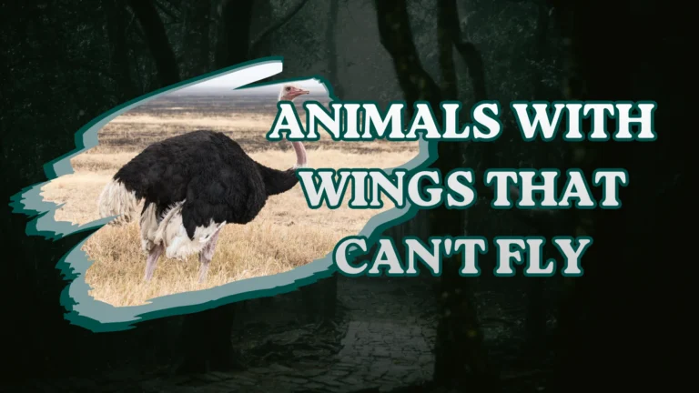 Animals with Wings That Can't Fly
