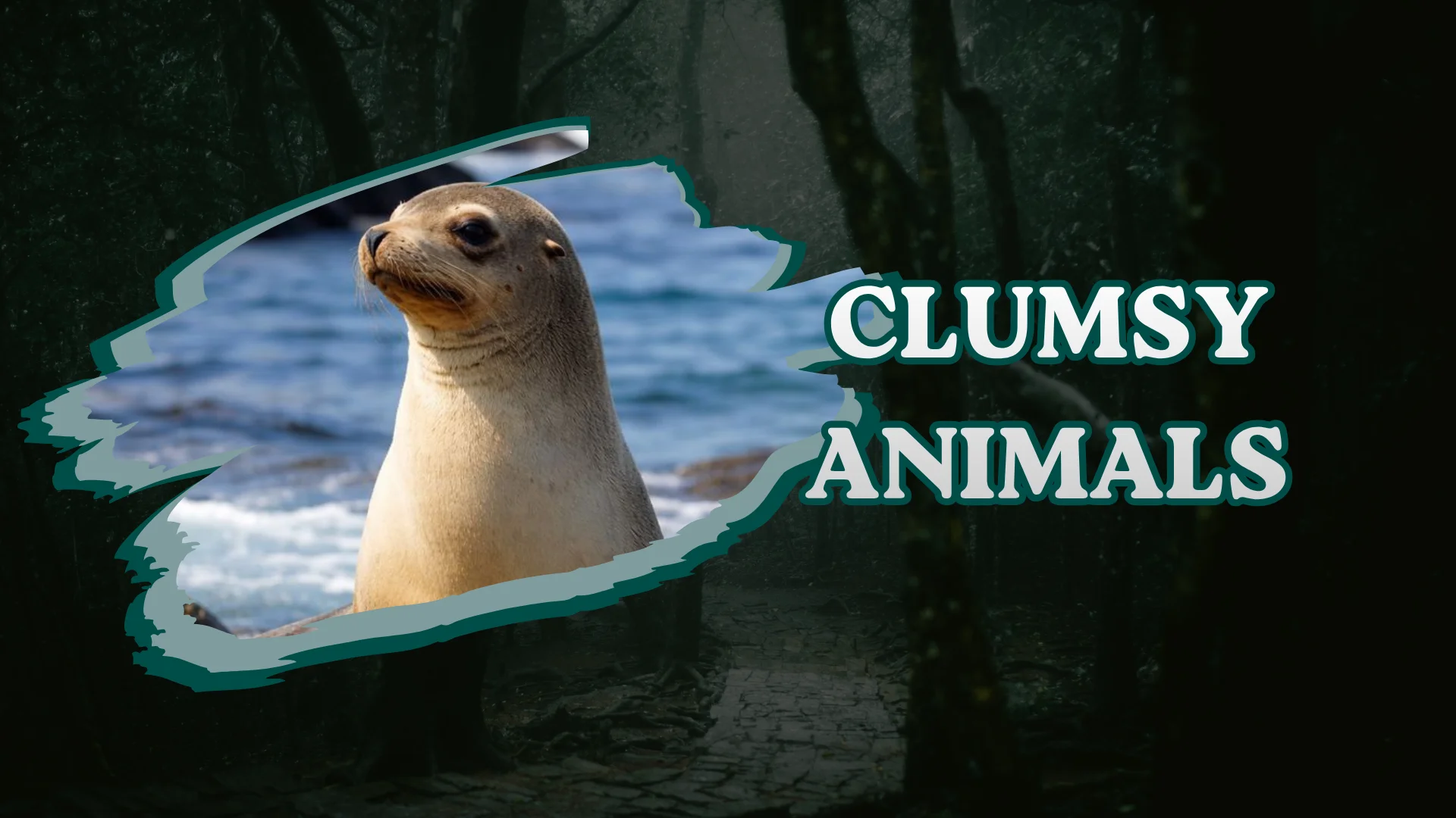 Clumsy Animals