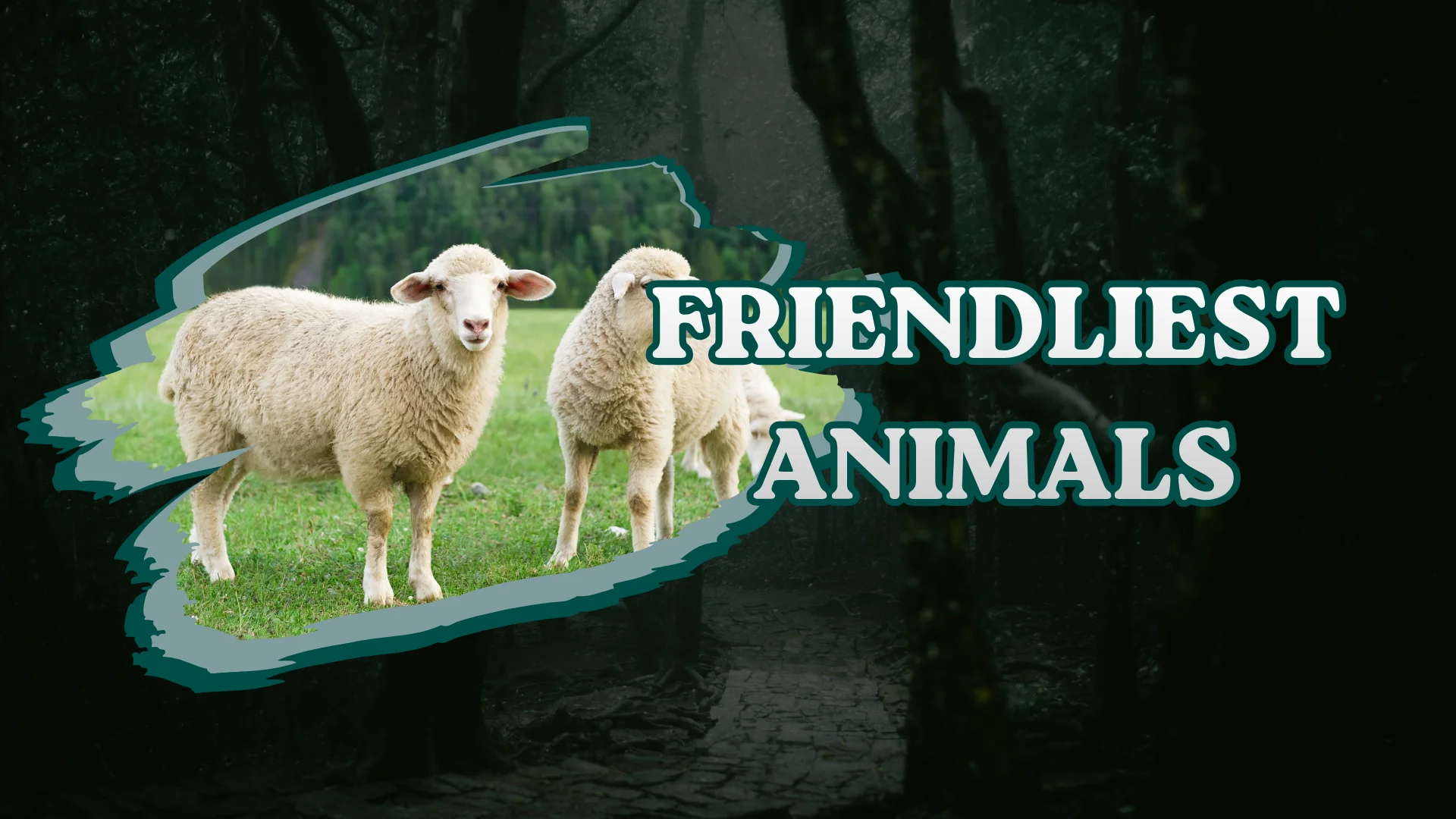 Friendliest Animals