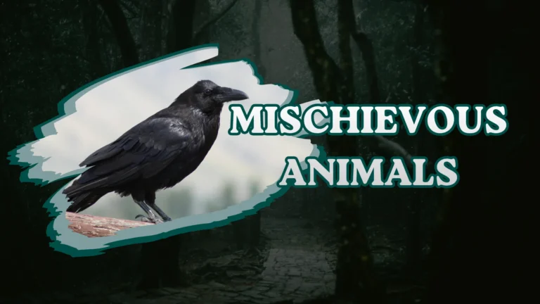 Mischievous Animals