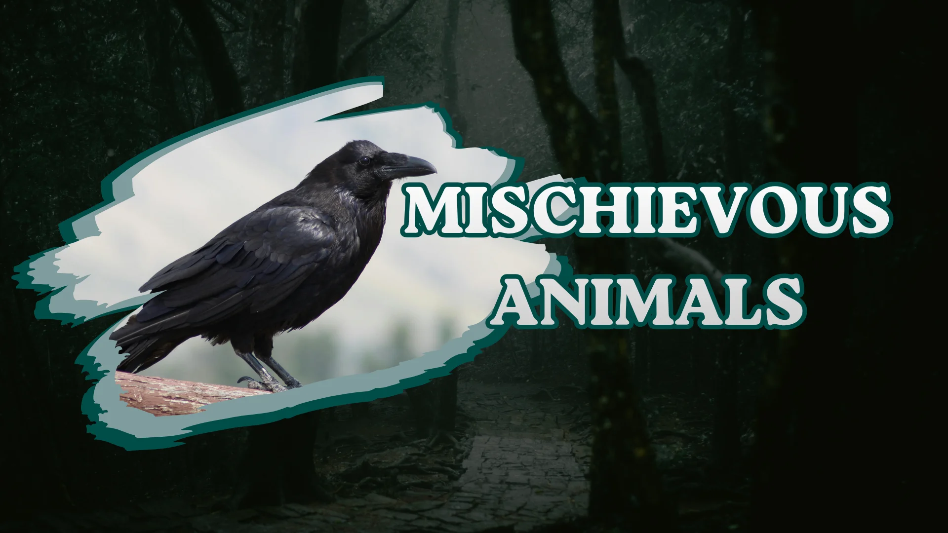Mischievous Animals