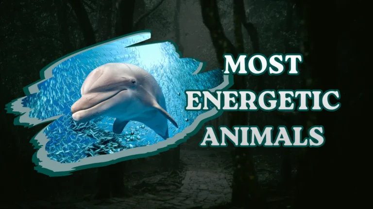 Most Energetic Animals