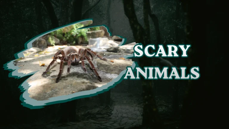 Scary Animals