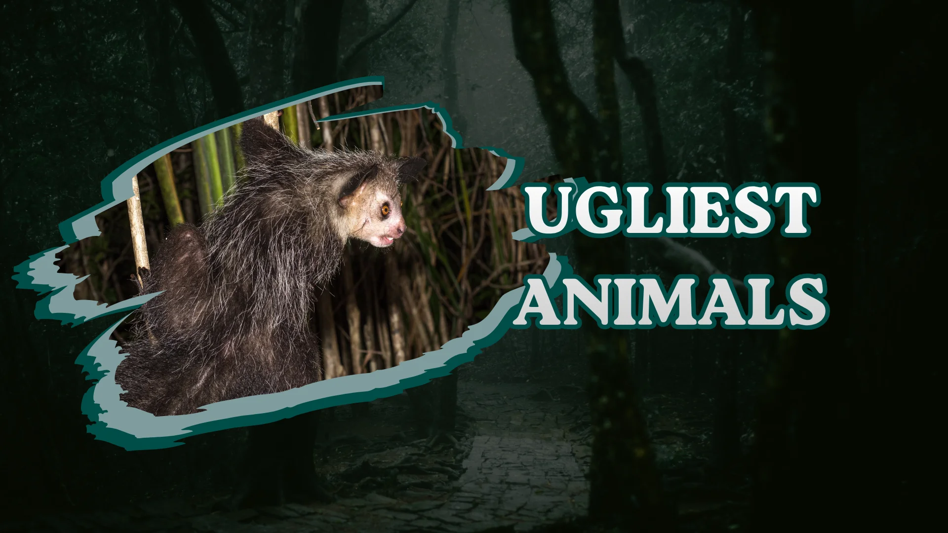 Ugliest Animals